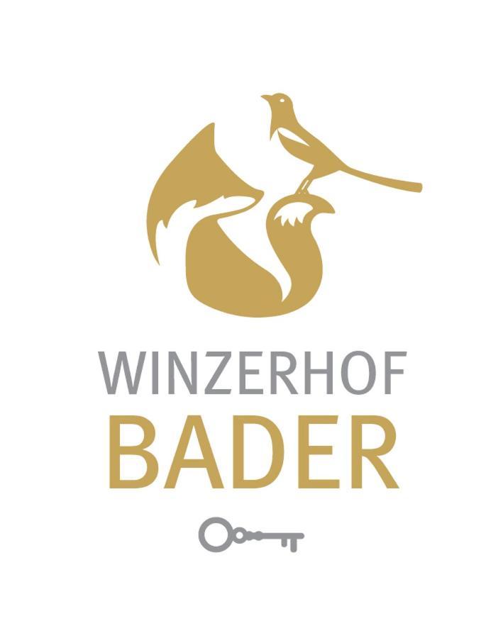 Gaestehaus Winzerhof Bader Heuchelheim-Klingen 외부 사진